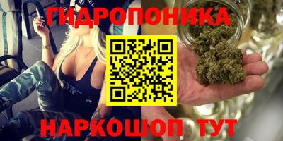 стаф Кумертау