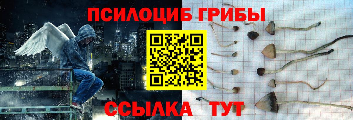 Жигулёвск  купить наркоту  Вход с VPN  Псилоцибиновые грибы GOLDEN TEACHER 