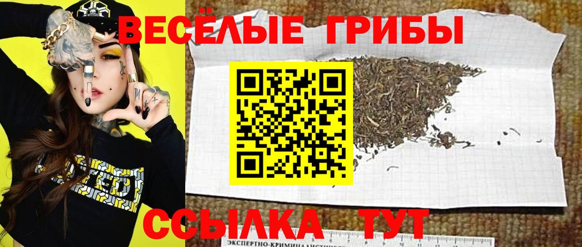 Галлюциногенные грибы GOLDEN TEACHER Жигулёвск
